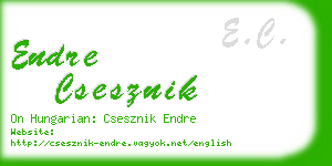 endre csesznik business card